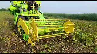 KSA | GreenGold 220W Multi crop | Mini Combine Harvester | Moong Harvester