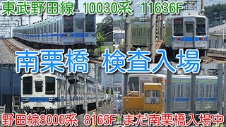 【来月9月検切れ！東武野田線 10030系 11636F 南栗橋 検査入場！】東武日光線走行 10030系 野田線カラーもいつまで見られるか。昨日試運転 野田線8000系 8165F まだ南栗橋入場中