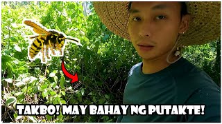 New Farm Serye: Tuloy parin ang Bakod Project | Tabko Dahil sa Putakte