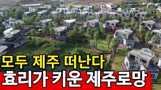 예능이 키운 제주 로망 다 깨지고 떠난다 | 집도 안팔려..