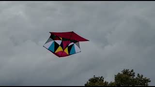 Kite Flying | Flying my kite in Brooklyn NYC and this happen!!! [Brooklyn Kite Squad]