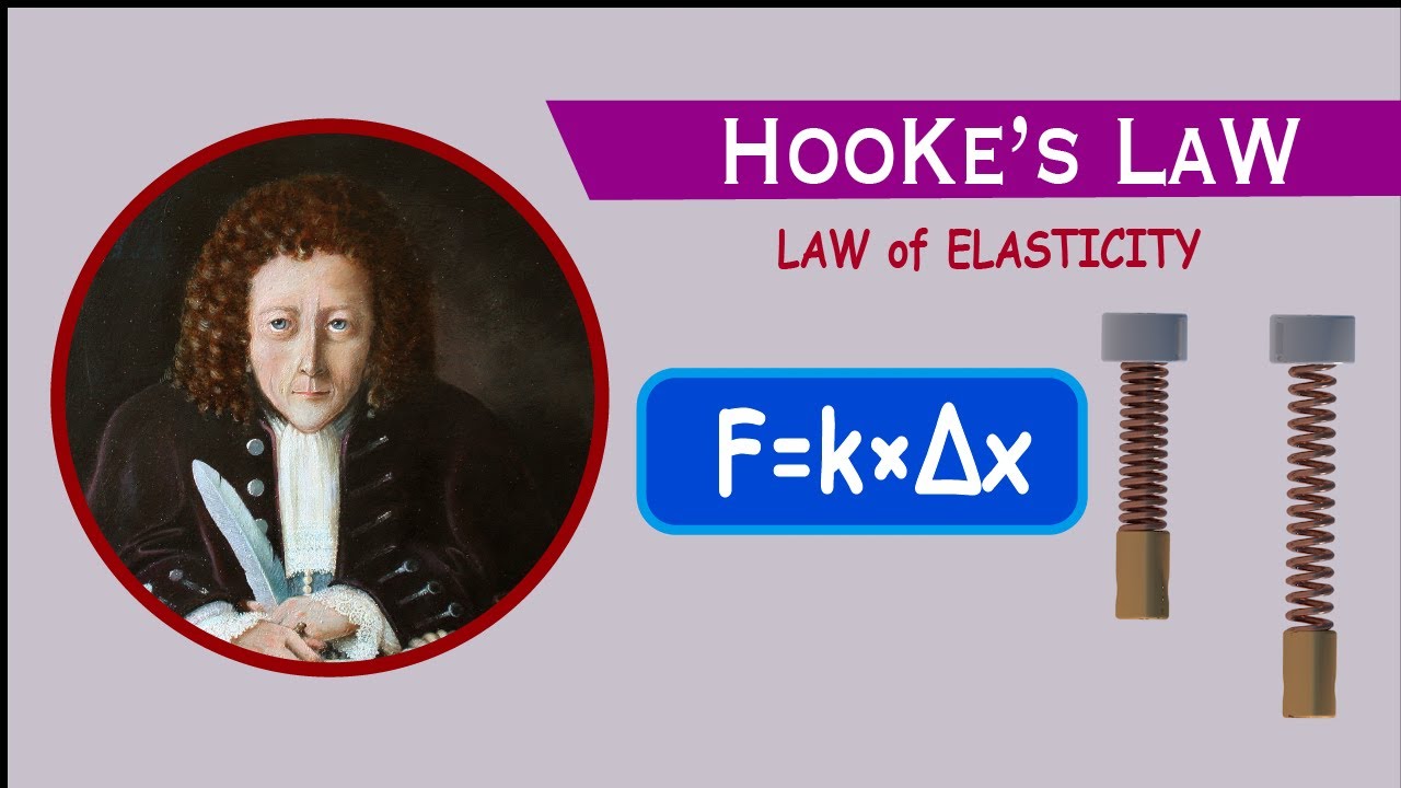 Hooke's Law- Law Of Elasticity: Explained Details (Animation) - YouTube