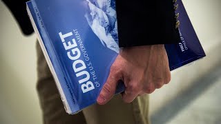 How do congressional appropriations work?