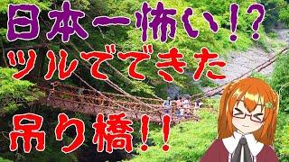 【橋】恐怖！植物でできた吊り橋