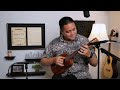 custom pegasus ukulele demo by mika kane