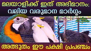 This amazing bird universe is a great source of income | Doha Pet Farm | Haritham Sundaram | EPI 307