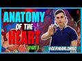 PART 1 - ANATOMY OF THE HEART