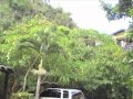 Jamaica Bob Marley Nine Miles Childhood Home