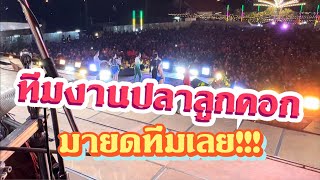 ทีมงานปลาลูกคอกมาแล้ว มายกทีมเลย‼️