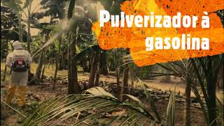 Pulverizador gasolina Husqvarna 321S15