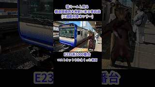 猫ミームと見る横須賀線西大井駅に来る車両達 #shorts #猫マニ #横須賀線 #湘南新宿ライン