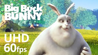 Big Buck Bunny 60fps 4K -  Blender Foundation Short Film
