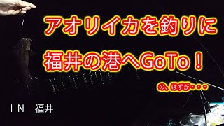 2020年秋　福井の漁港でアオリイカ釣りにチャレンジ   釣り アジ釣り 堤防釣り　福井釣り　大物釣り