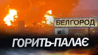 Бавовна в БЄЛГОРОДІ / ВІДЕО