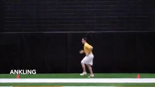 Ankling: 3D Performance Training