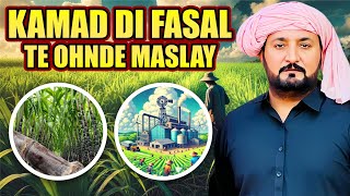 Kamad di fasal ty masly  by Anjum Saroya/Sugar Cane Crop  and Sugar mill mafia