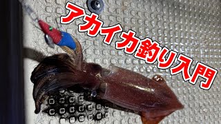 【解説動画】釣果好調中のアカイカ釣り。手返し、数釣りが強みのイカメタル。潮が激流、食い渋りの状態に強いオモリグ。　鉛スッテや、ドロッパーの違いなど。　ケンサキイカ釣りの入門動画。　南紀和歌山釣太郎。