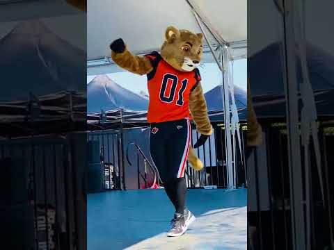 Excellent Performer Roary BC Lions Mascot - YouTube