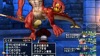 達人クエスト ドラゴンガイア強 (パ賢賢ド)