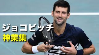 【テニス】ジョコビッチの凄まじい強さが分かる、神業集！！【ジョコビッチ】tennis djokovic