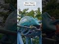 Alton Towers Octonauts #altontowers #octonauts #ride #park #fun #family #holiday #trip #parenting