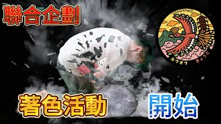 🔥寶可夢蓋🔥 寶可夢大量發生中！日拚觀光人孔蓋想要擁有嗎?自己畫一個！活動開始 | 聯合企劃 | #寶可夢 #人孔蓋 #水溝蓋 #設計 #創意 #景觀 #街景 @Milktea_Chick