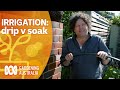 Irrigation essentials: drip versus soak | Gardening 101 | Gardening Australia