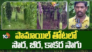 పామాయిల్ తోటలో సొర, బీర, కాకర సాగు | Organic Farming Tips | Matti Manishi | 10tv