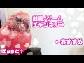 アキクサインコ 鳴き声 呼び鳴き はうるさい？コンデンサーマイクで高音質録音！実際に聞いて確かめてみてね