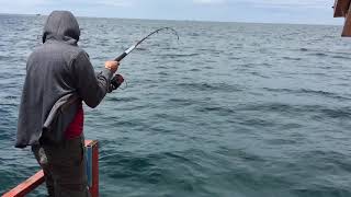 Fisherman Team On The Sea - ស្ទូចនៅកោះស្តេច ត្រីតុកកែ( stuc nov koh sdac trey tok kee)