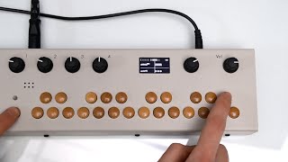 Critter \u0026 Guitari - Zample for Organelle