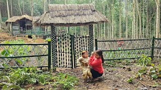 Single mom-Paint the gate of the house and install a bamboo tree to make a trellis for the tomato le