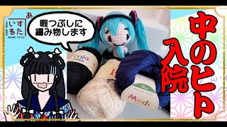 【ハンドメイド】入院の暇つぶしにあみぐるみを作ったおはなし【入院生活】