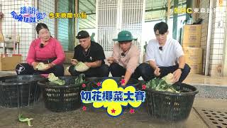 【請問今晚住誰家】EP703 彰化尋找彩色花 打工達人慘遭卡關？！ 竇智孔、黃鐙輝 週一至週四晚間10點 東森超視33頻道