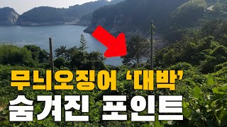 이런 곳을 찾아 가세요!! (본시즌) 무늬오징어 낚시 최고의 포인트 ft.볶음짬뽕