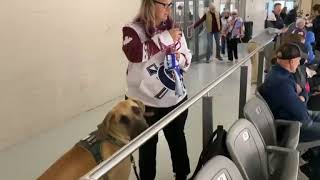 U19A Ringette Barrie Blizzards vs Markham Bears 9/7/2024