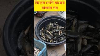 বিলের দেশি মাছের বাজার দর #fish #fishing #Tik Tok #comedy #short video #cartoon #catchingfish