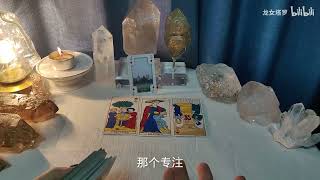 1 5 三个祝福第四组 【龙女塔罗】三个祝福 ✨本月到来