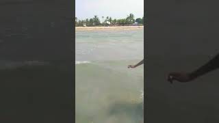 Pudhupattinam beach 🏄‍♂😍