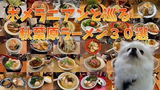 【もはやラーメン狂】ポメラニアンと巡る秋葉原ラーメン３０選【決定版】