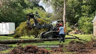 Expert Tree Removal in Long Island  Safety \u0026 Sustainability