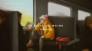 Tu Milta Hai Mujhe   Raj Barman Song   Slowed And Reverb Lofi Mix