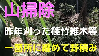 山掃除篠竹雑木まとめて野積み編