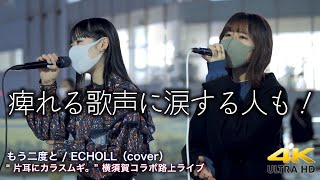 【 美しき歌声 】痺れる歌声に涙する人も！　もう二度と / ECHOLL（cover） \