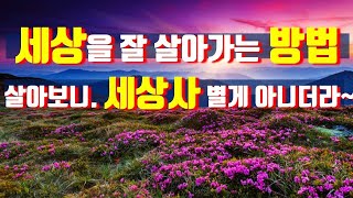 세상을 잘 살아가는 방법/살아보니, 세상 사 별게 아니더라 /#인생#삶#행복