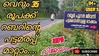 വെറും35 രൂപക്ക് റബറിന്റെ പട്ടമരപ്പ് മാറ്റിയെടുക്കാം 100 % ഗ്യാരണ്ടിയോട് കൂടി