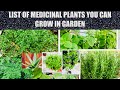 17 Most Powerful Medicinal Plants & Herbs