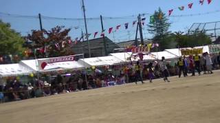 八尾市民スポーツ祭 美園地区町会対抗年齢別大人ガチンコリレー2014予選1