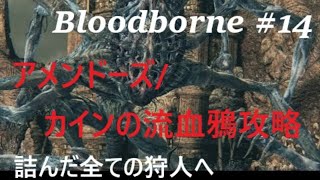 【Bloodborne】詰んだ全ての狩人へ #14 アメンドーズ/カインの流血鴉 攻略解説