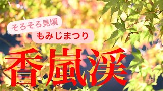 【香嵐渓】萌える紅葉🍁